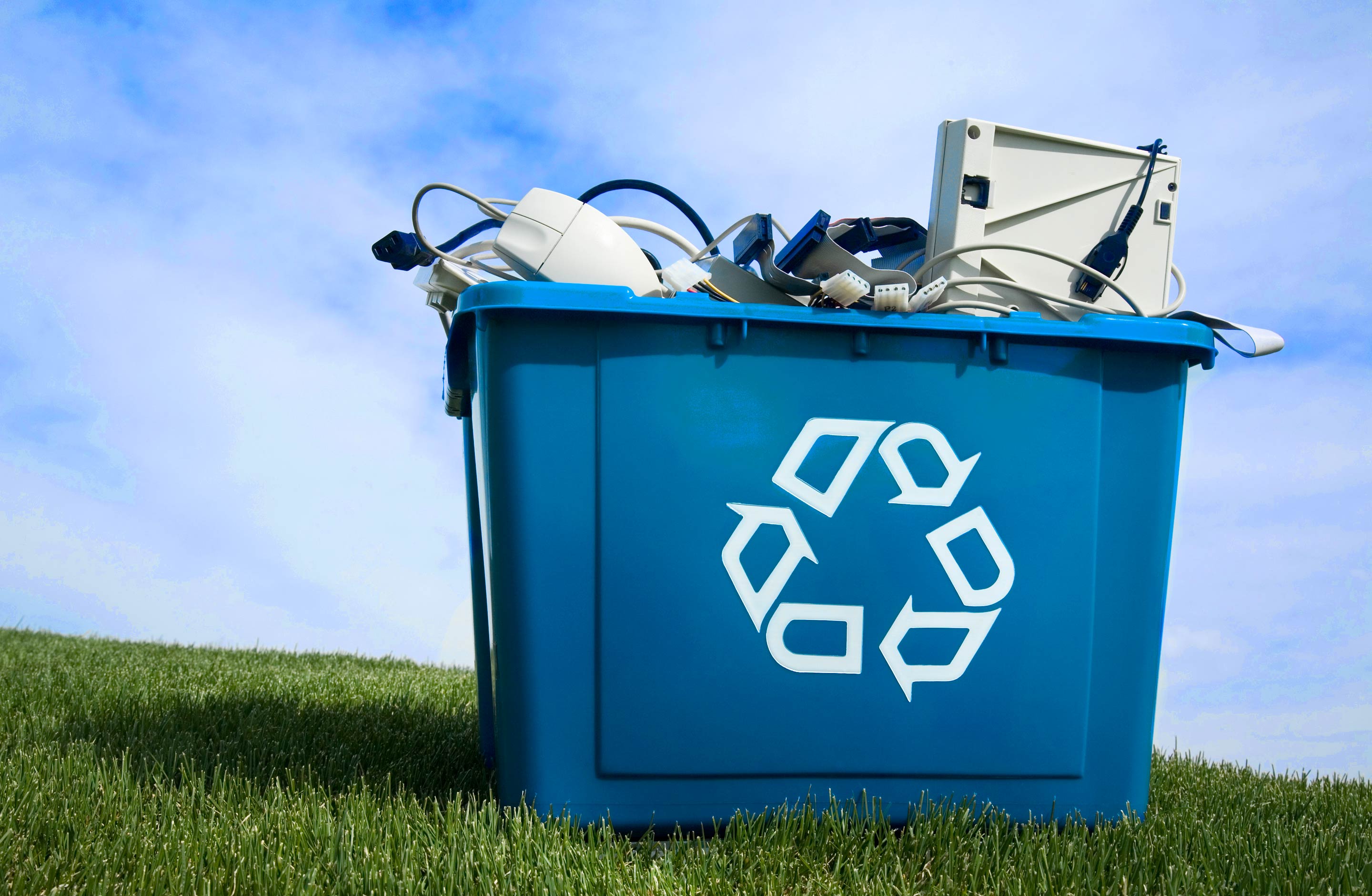 Capgemini Sustainable IT report